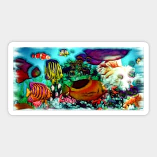 Aquarium Sticker